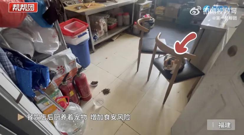 京东外卖品质堂食店被媒体曝光造假，当地负责人亲手教的……